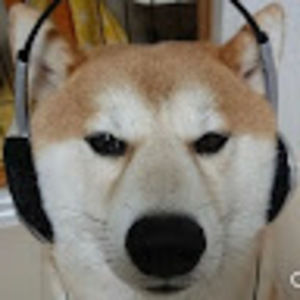 Meet your Posher, Donquesadilla